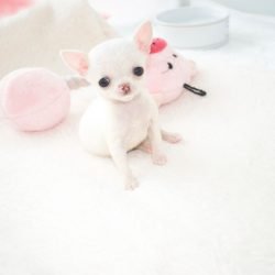 2023-09-07-at-01.23.36