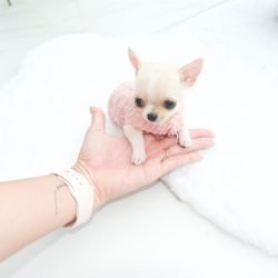 2023-09-07-at-01.24.23