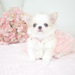 2023-09-07-at-01.25.02